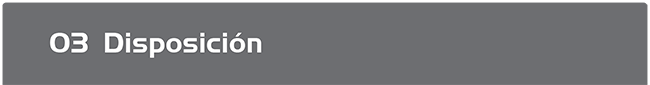 Disposicion